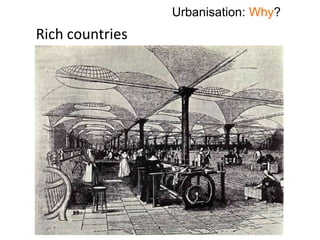 Rich countries
Urbanisation: Why?
 