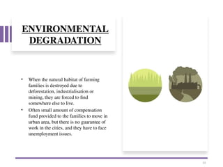 ENVIRONMENTAL
DEGRADATION
• When the natural habitat of farming
families is destroyed due to
deforestation, industrialisation or
mining, they are forced to find
somewhere else to live.
• Often small amount of compensation
fund provided to the families to move in
urban area, but there is no guarantee of
work in the cities, and they have to face
unemployment issues.
10
 