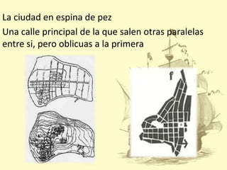 La ciudad en espina de pez
Una calle principal de la que salen otras paralelas
entre si, pero oblicuas a la primera

 