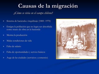 Causas de la migración  ¿Cómo se vivía en el campo chileno?   Sistema de hacienda e inquilinaje (1800- 1970)  Emigra la población que no logra ser absorbida como mano de obra en la hacienda  Merma la producción  Malas condiciones de vida  Falta de salario  Falta de oportunidades y servios básicos Auge de las ciudades (servicios y comercio)  