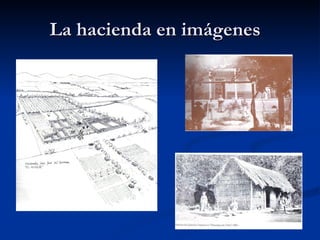 La hacienda en imágenes  