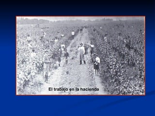 El trabajo en la hacienda  