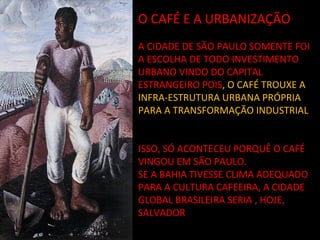 O CAFÉ E A URBANIZAÇÃO
A CIDADE DE SÃO PAULO SOMENTE FOI
A ESCOLHA DE TODO INVESTIMENTO
URBANO VINDO DO CAPITAL
ESTRANGEIRO POIS, O CAFÉ TROUXE A
INFRA-ESTRUTURA URBANA PRÓPRIA
PARA A TRANSFORMAÇÃO INDUSTRIAL


ISSO, SÓ ACONTECEU PORQUÊ O CAFÉ
VINGOU EM SÃO PAULO.
SE A BAHIA TIVESSE CLIMA ADEQUADO
PARA A CULTURA CAFEEIRA, A CIDADE
GLOBAL BRASILEIRA SERIA , HOJE,
SALVADOR
 