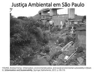 Justiça Ambiental em São Paulo
YOUNG, Andrea Ferraz. Urbanization, environmental justice, and social-environmental vulnerability in Brazil.
In: Urbanization and Sustainability. Springer Netherlands, 2013. p. 95-116.
 