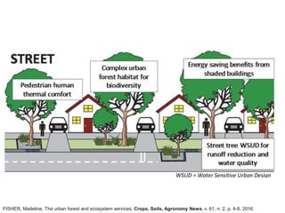 FISHER, Madeline. The urban forest and ecosystem services. Crops, Soils, Agronomy News, v. 61, n. 2, p. 4-8, 2016.
 