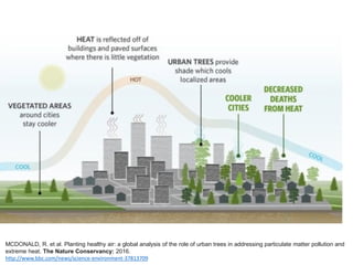 MCDONALD, R. et al. Planting healthy air: a global analysis of the role of urban trees in addressing particulate matter pollution and
extreme heat. The Nature Conservancy: 2016.
http://www.bbc.com/news/science-environment-37813709
 