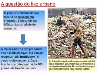Os cortiços consistem em habitações coletivas compostas por cômodos alugados, em velhas mansões.Os loteamentos periféricos são atualmente a forma típica de expansão da moradia popular nas grandes metrópoles. Afastados dos grandes centros, definem uma das faces do padrão espacial das metrópoles: a da expulsão dos pobres para a periferia (margem) em contraste com a valorização e verticalização das áreas centrais.
