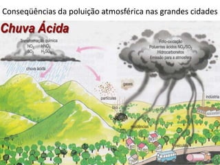 Ilhas de calor nos grandes centros urbanos.