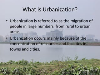 Urbanization | PPT