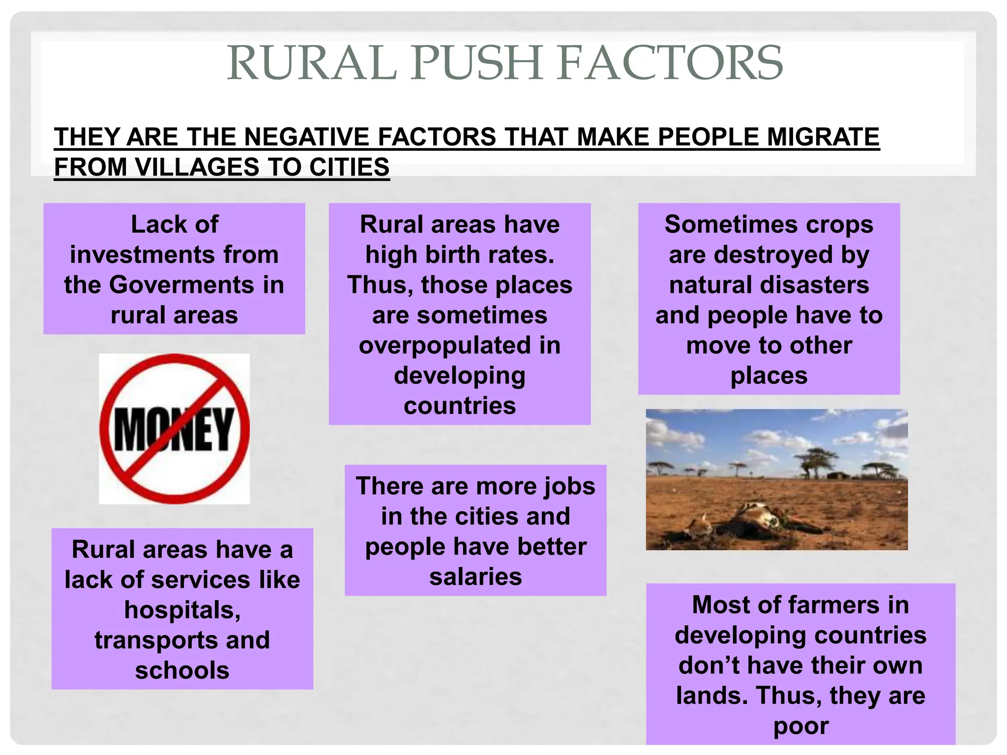 RURAL PUSH FACTORS
THEY ARE THE NEGATIVE FACTORS THAT MAKE PEOPLE MIGRATE
FROM VILLAGES TO CITIES
Lack of
investments from
the Goverments in
rural areas
Rural areas have
high birth rates.
Thus, those places
are sometimes
overpopulated in
developing
countries
Sometimes crops
are destroyed by
natural disasters
and people have to
move to other
places
Rural areas have a
lack of services like
hospitals,
transports and
schools
There are more jobs
in the cities and
people have better
salaries
Most of farmers in
developing countries
don’t have their own
lands. Thus, they are
poor
 