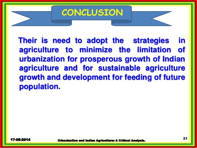 urbanisation essay