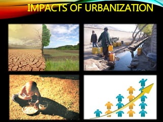 Urbanization and its effect on food security | PPTX