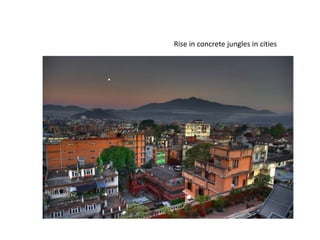 Rise in concrete jungles in cities
 