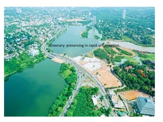 Greenary preserving in rapid urbanization
 
