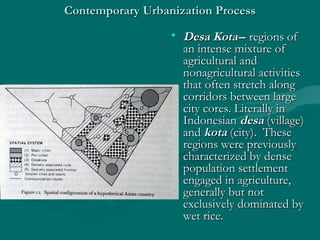 Contemporary Urbanization ProcessContemporary Urbanization Process
• Desa Kota-Desa Kota--- regions ofregions of
an intense mixture ofan intense mixture of
agricultural andagricultural and
nonagricultural activitiesnonagricultural activities
that often stretch alongthat often stretch along
corridors between largecorridors between large
city cores. Literally incity cores. Literally in
IndonesianIndonesian desadesa (village)(village)
andand kotakota (city). These(city). These
regions were previouslyregions were previously
characterized by densecharacterized by dense
population settlementpopulation settlement
engaged in agriculture,engaged in agriculture,
generally but notgenerally but not
exclusively dominated byexclusively dominated by
wet rice.wet rice.
 