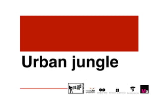Urban jungle!
 