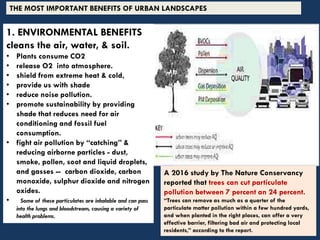 THE MOST IMPORTANT BENEFITS OF URBAN LANDSCAPES
1. ENVIRONMENTAL BENEFITS
cleans the air, water, & soil.
• Plants consume CO2
• release O2 into atmosphere.
• shield from extreme heat & cold,
• provide us with shade
• reduce noise pollution.
• promote sustainability by providing
shade that reduces need for air
conditioning and fossil fuel
consumption.
• fight air pollution by “catching” &
reducing airborne particles - dust,
smoke, pollen, soot and liquid droplets,
and gasses -- carbon dioxide, carbon
monoxide, sulphur dioxide and nitrogen
oxides.
• Some of these particulates are inhalable and can pass
into the lungs and bloodstream, causing a variety of
health problems.
A 2016 study by The Nature Conservancy
reported that trees can cut particulate
pollution between 7 percent an 24 percent.
“Trees can remove as much as a quarter of the
particulate matter pollution within a few hundred yards,
and when planted in the right places, can offer a very
effective barrier, filtering bad air and protecting local
residents,” according to the report.
 