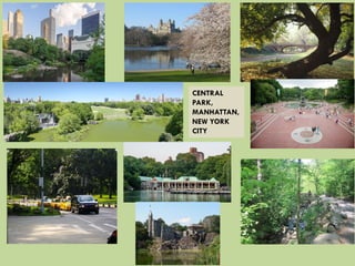CENTRAL
PARK,
MANHATTAN,
NEW YORK
CITY
 