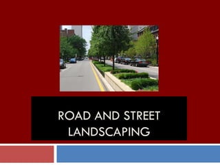 ROAD AND STREET
LANDSCAPING
 