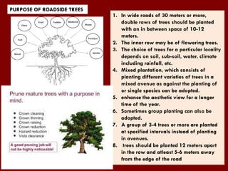 PURPOSE OF ROADSIDE TREES
1. In wide roads of 30 meters or more,
double rows of trees should be planted
with an in between space of 10-12
meters.
2. The inner row may be of flowering trees.
3. The choice of trees for a particular locality
depends on soil, sub-soil, water, climate
including rainfall, etc.
4. Mixed plantation, which consists of
planting different varieties of trees in a
mixed avenue as against the planting of
or single species can be adopted.
5. enhance the aesthetic view for a longer
time of the year.
6. Sometimes group planting can also be
adopted.
7. A group of 3-4 trees or more are planted
at specified intervals instead of planting
in avenues.
8. trees should be planted 12 meters apart
in the row and atleast 5-6 meters away
from the edge of the road
 