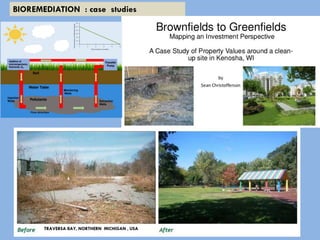 BIOREMEDIATION : case studies
 