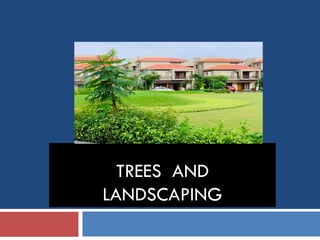TREES AND
LANDSCAPING
 