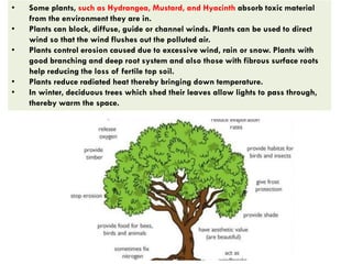 • Some plants, such as Hydrangea, Mustard, and Hyacinth absorb toxic material
from the environment they are in.
• Plants can block, diffuse, guide or channel winds. Plants can be used to direct
wind so that the wind flushes out the polluted air.
• Plants control erosion caused due to excessive wind, rain or snow. Plants with
good branching and deep root system and also those with fibrous surface roots
help reducing the loss of fertile top soil.
• Plants reduce radiated heat thereby bringing down temperature.
• In winter, deciduous trees which shed their leaves allow lights to pass through,
thereby warm the space.
 