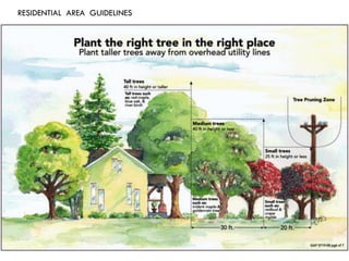RESIDENTIAL AREA GUIDELINES
 