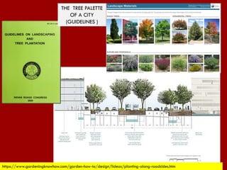 https://www.gardeningknowhow.com/garden-how-to/design/lideas/planting-along-roadsides.htm
THE TREE PALETTE
OF A CITY
(GUIDELINES )
 