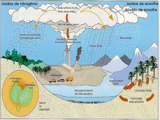 óxidos de enxofre
óxidos de nitrogênio
dióxido de enxofre
 