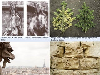Estátua em Notre-Dame corroída pelo tempo e chuva
ácida
Antigo muro de pedra corroído pelo tempo e poluição
de chuva ácida
 