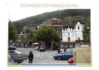 OCUPAÇÃO DO ESPAÇO RURAL

http://manuelcoimbra.files.wordpress.com/2010/12/piodc3a3o-serra-do-ac3a7or-83.jpg

 