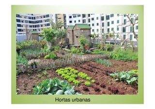 Hortas urbanas

 
