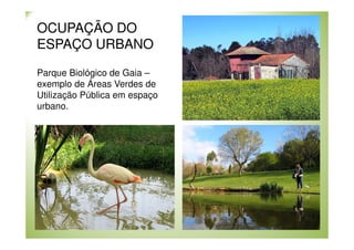 OCUPAÇÃO DO
ESPAÇO URBANO
Parque Biológico de Gaia –
exemplo de Áreas Verdes de
Utilização Pública em espaço
urbano.

 