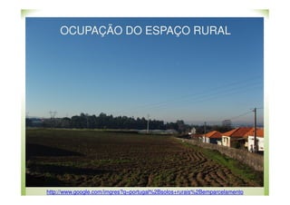 OCUPAÇÃO DO ESPAÇO RURAL

http://georden.blogspot.com/2011/02/promover-utilizacao-sustentavel-dos.html
http://www.google.com/imgres?q=portugal%2Bsolos+rurais%2Bemparcelamento

 
