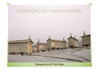 OCUPAÇÃO DO ESPAÇO RURAL

Espigueiros na Sª do Soajo

 