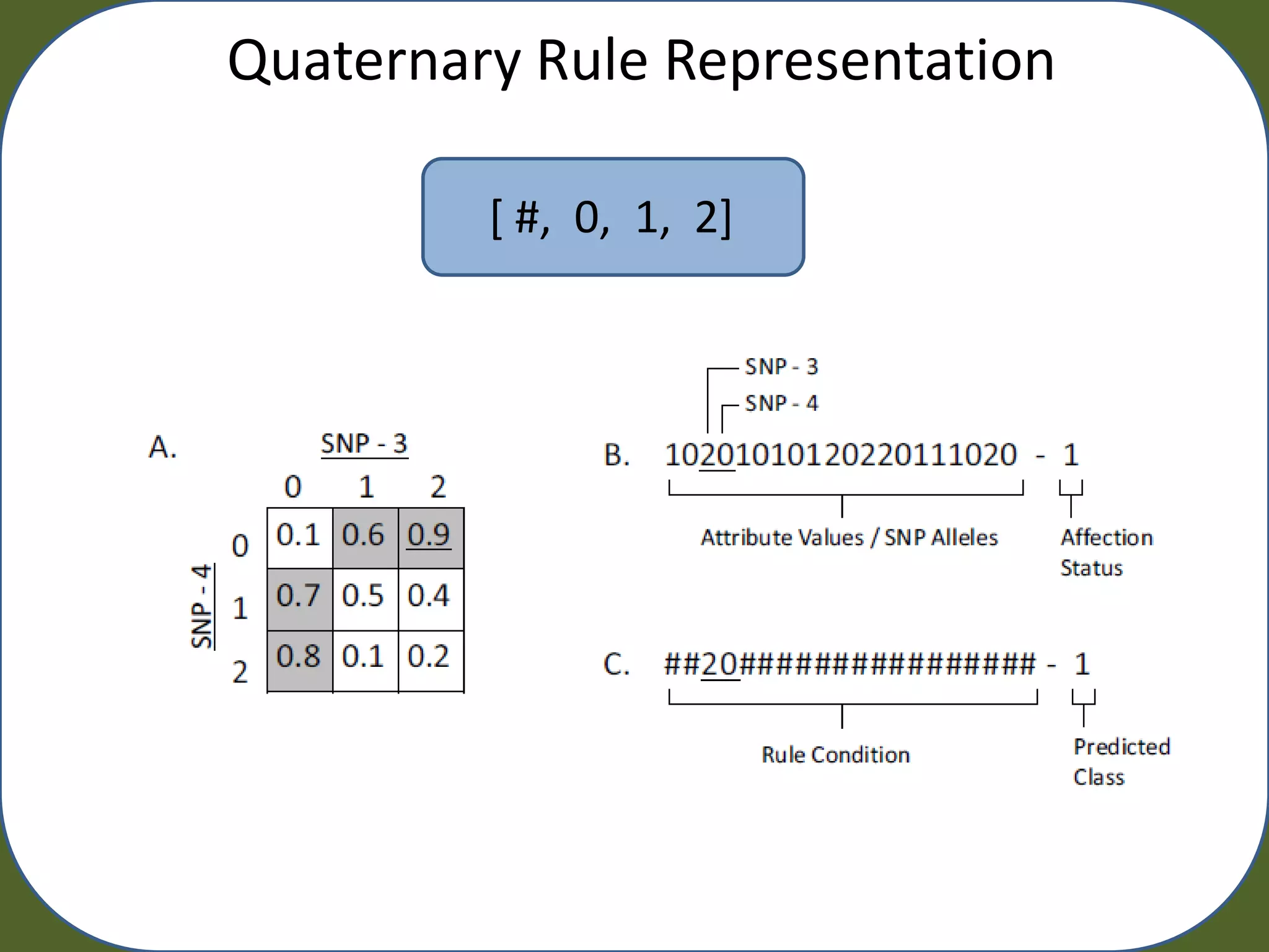 Quaternary Rule Representation

         [ #, 0, 1, 2]
 