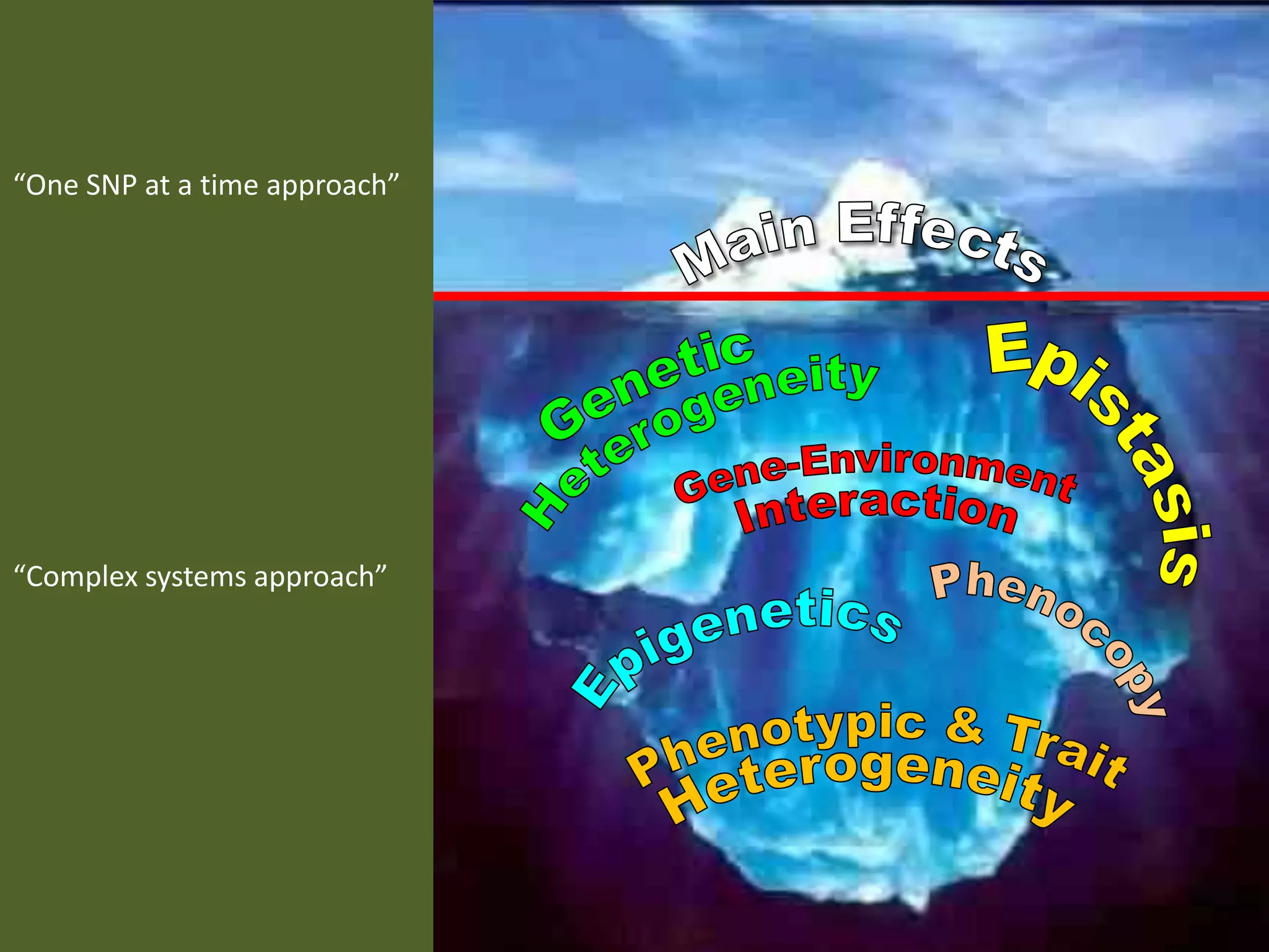 “One SNP at a time approach”




“Complex systems approach”
 