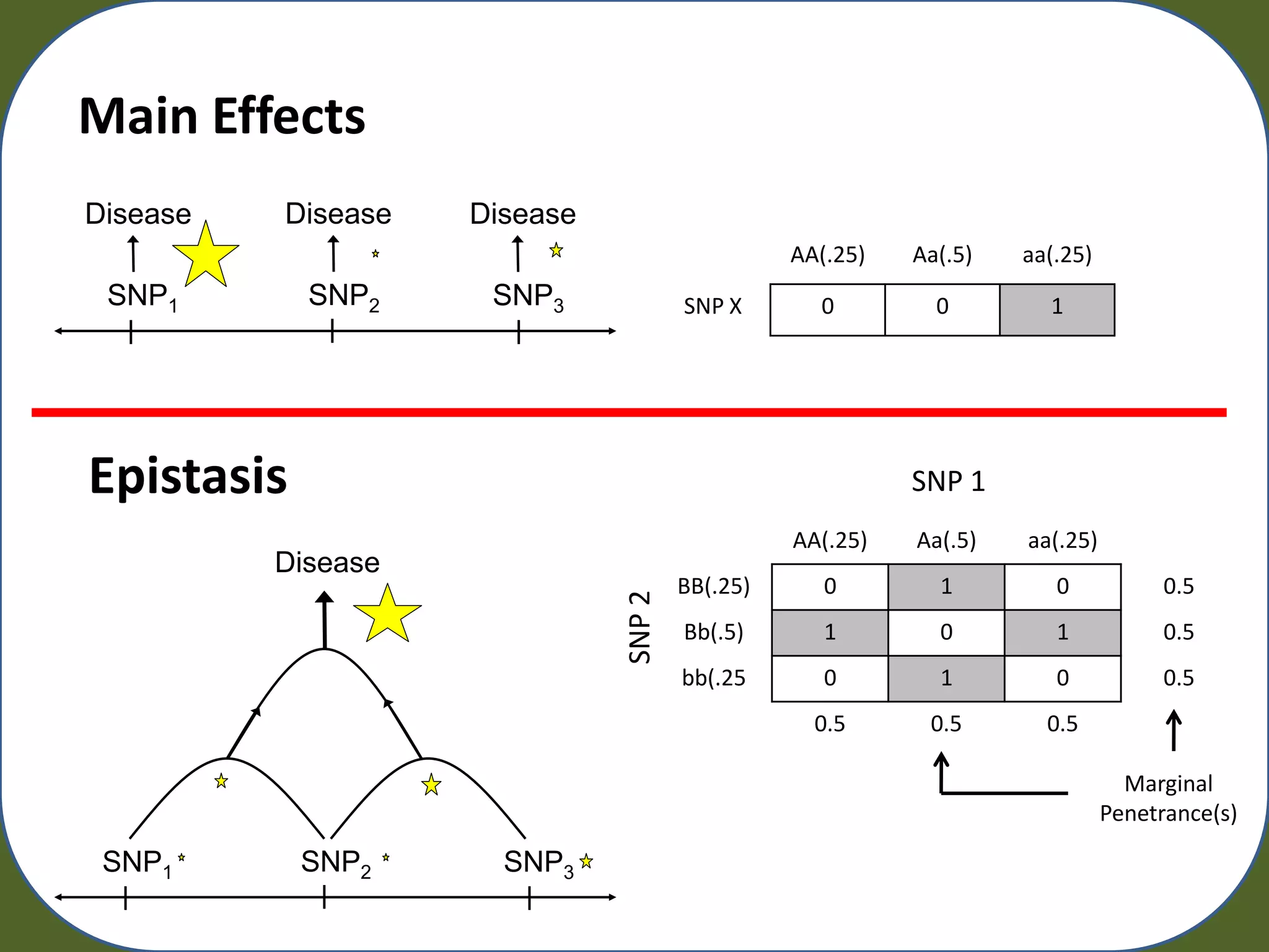 Main Effects
Disease   Disease   Disease
                                                AA(.25)   Aa(.5)   aa(.25)
 SNP1       SNP2     SNP3             SNP X       0         0        1




Epistasis                                                 SNP 1
                                                AA(.25)   Aa(.5)   aa(.25)
          Disease
                                      BB(.25)      0        1         0            0.5

                              SNP 2   Bb(.5)       1        0         1            0.5
                                      bb(.25       0        1         0            0.5
                                                  0.5      0.5       0.5

                                                                               Marginal
                                                                             Penetrance(s)

 SNP1       SNP2      SNP3
 