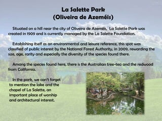 La Salette Park
(Oliveira de Azeméis)
Situated on a hill near the city of Oliveira de Azeméis, La Salette Park was
created in 1909 and is currently managed by the La Salette Foundation.
Establishing itself as an environmental and leisure reference, this spot was
classified of public interest by the National Forest Authority, in 2009, rewarding the
size, age, rarity and especially the diversity of the species found there.
Among the species found here, there is the Australian tree-tea and the redwood
from California.
In the park, we can’t forget
to mention the lake and the
chapel of La Salette, an
important place of worship
and architectural interest.
 