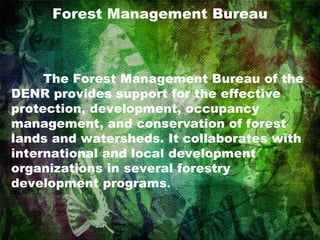 Forest Management Bureau The Forest Management Bureau of the DENR provides support for the effective protection, development, occupancy management, and conservation of forest lands and watersheds. It collaborates with international and local development organizations in several forestry development programs . 