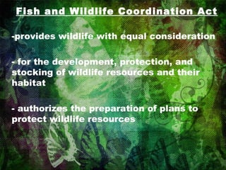 Fish and Wildlife Coordination Act provides wildlife with equal consideration for the development, protection, and stocking of wildlife resources and their habitat - authorizes the preparation of plans to protect wildlife resources 