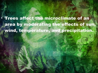 Trees affect the microclimate of an area by moderating the effects of sun, wind, temperature, and precipitation. 