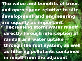 The value and benefits of trees and open space relative to site development and engineering are equally as important. Decreasing storm water runoff directly through interception of rainfall and water uptake through the root system, as well as filtering pollutants contained in runoff from the adjacent watershed 