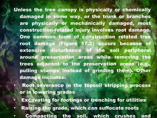 Unless the tree canopy is physically or chemically damaged in some way, or the trunk or branches are physically or mechanically damaged, most construction-related injury involves root damage. One common form of construction related tree root damage (Figure 17.2) occurs because of extensive disturbance of the soil peripheral around preservation areas while removing the trees adjacent to the preservation areas (e.g., pulling stumps instead of grinding them). Other damage includes: Root severance in the topsoil stripping process or in lowering grades Excavating for footings or trenching for utilities Raising the grade, which can suffocate roots Compacting the soil, which crushes and suffocates roots 