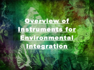 Overview of Instruments for Environmental Integration 