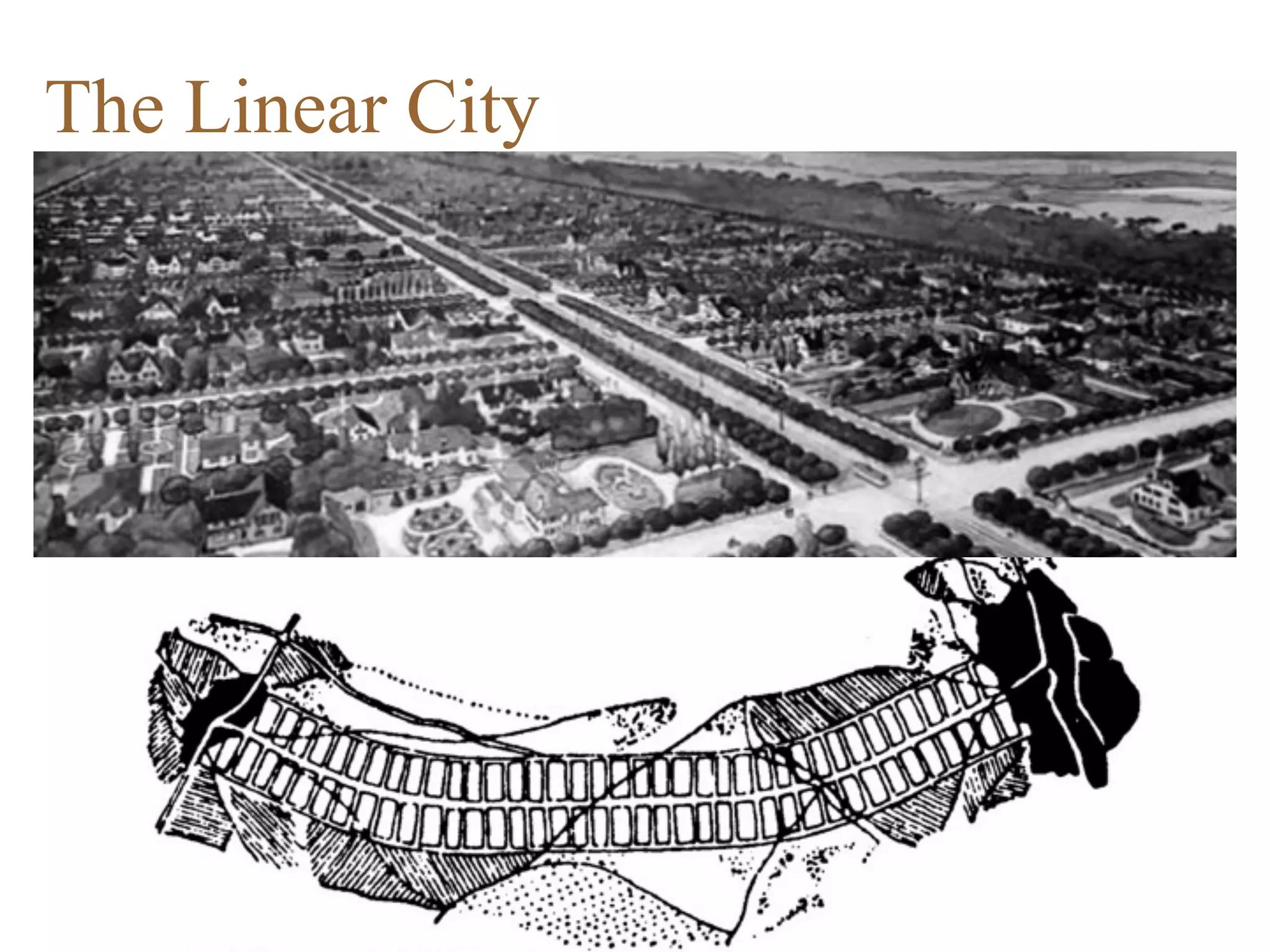 The linear city gears away from the usual centric urban
forms. The lines help control the expansion of a city.
prezi.com
The Linear City
 