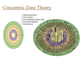 Concentric Zone Theory
 