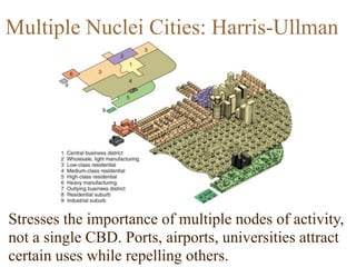 Stresses the importance of multiple nodes of activity,
not a single CBD. Ports, airports, universities attract
certain uses while repelling others.
Multiple Nuclei Cities: Harris-Ullman
 