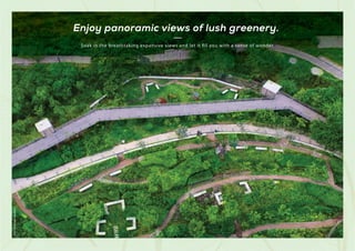 Soak in the breathtaking expansive views and let it fill you with a sense of wonder.
Shot
at
Actual
Location
Enjoy panoramic views of lush greenery.
 